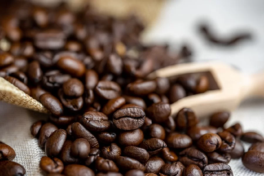 Espressobohnen: Die Quintessenz guten Kaffees